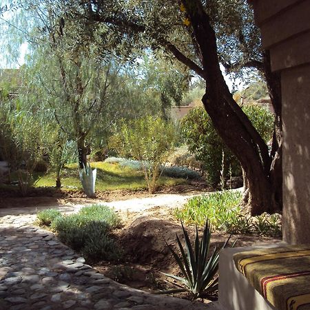 Dar Lorkam Bed & Breakfast Skoura Dış mekan fotoğraf
