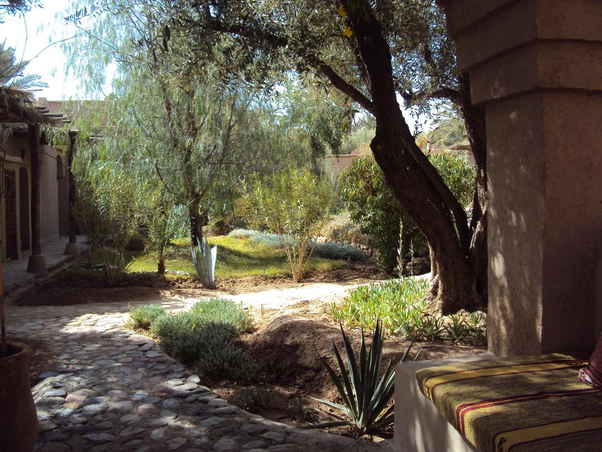 Dar Lorkam Bed & Breakfast Skoura Dış mekan fotoğraf