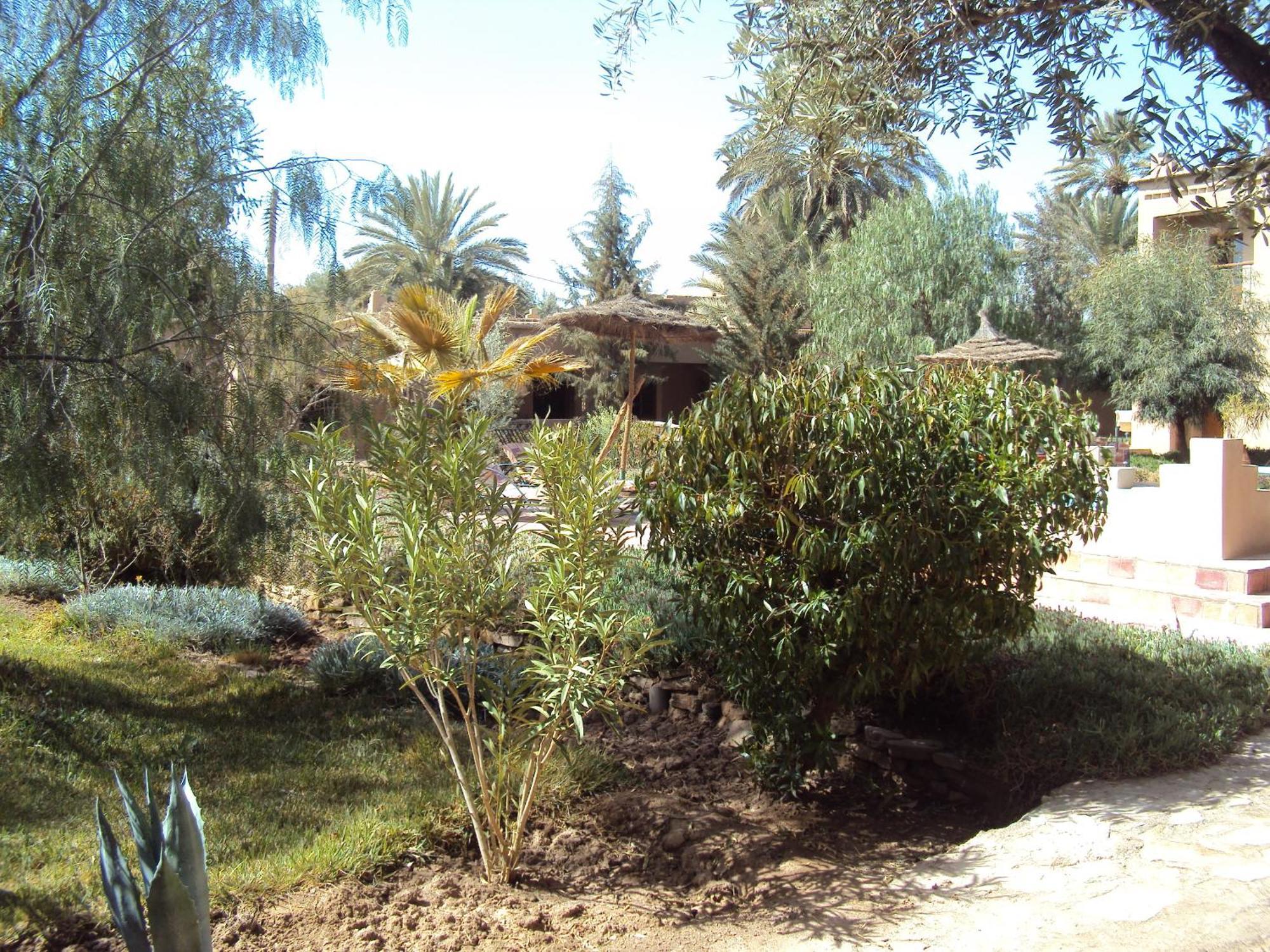 Dar Lorkam Bed & Breakfast Skoura Dış mekan fotoğraf
