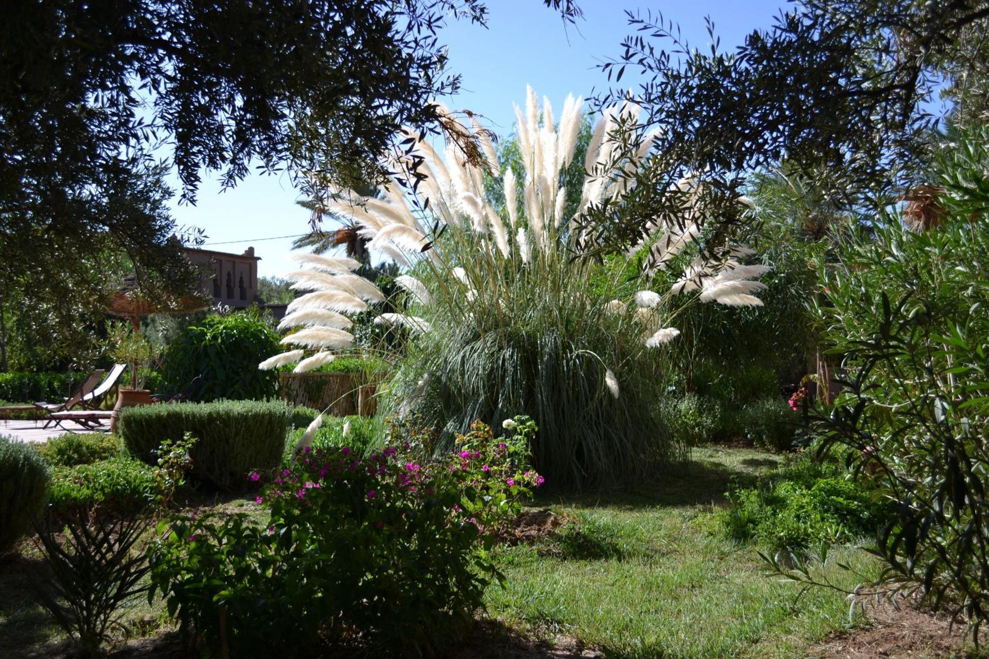 Dar Lorkam Bed & Breakfast Skoura Dış mekan fotoğraf