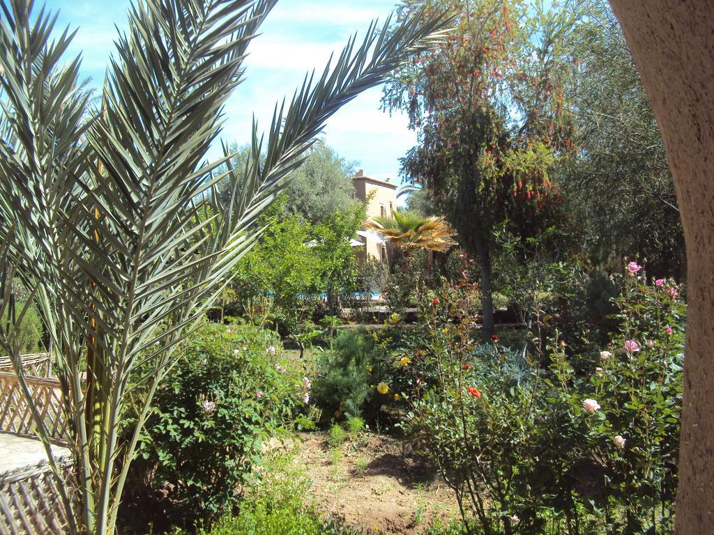 Dar Lorkam Bed & Breakfast Skoura Dış mekan fotoğraf