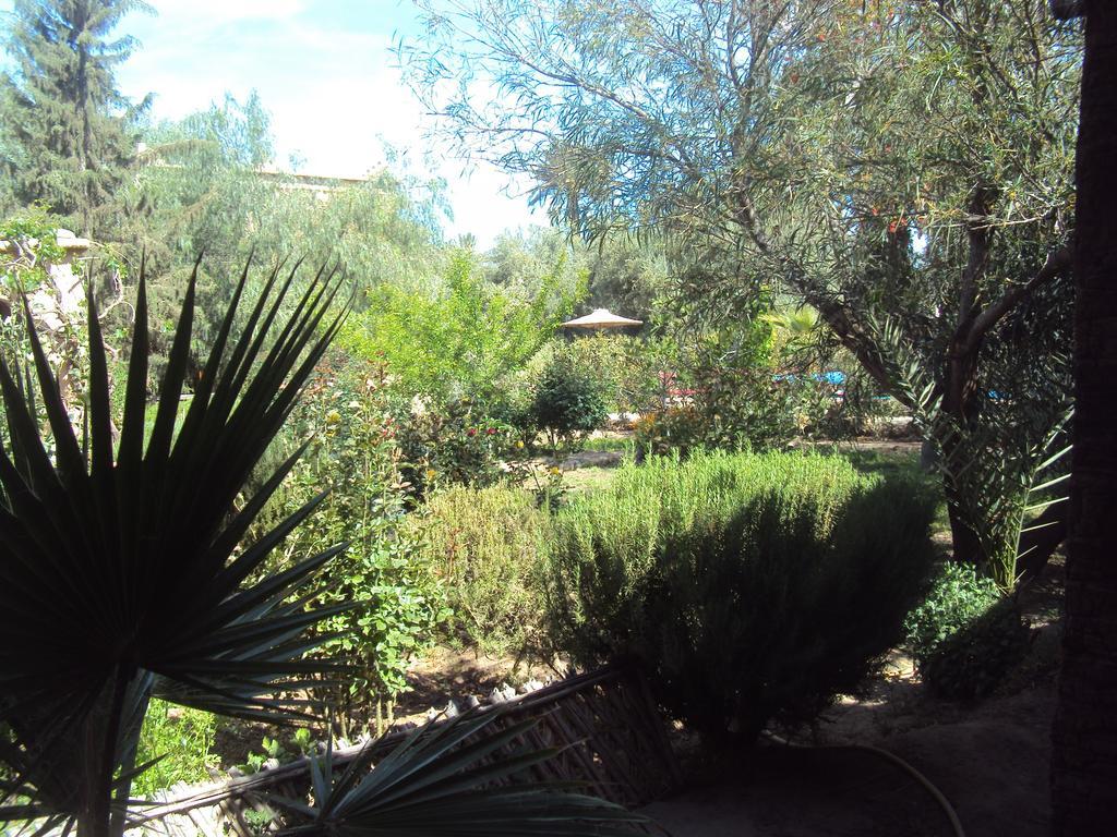 Dar Lorkam Bed & Breakfast Skoura Dış mekan fotoğraf