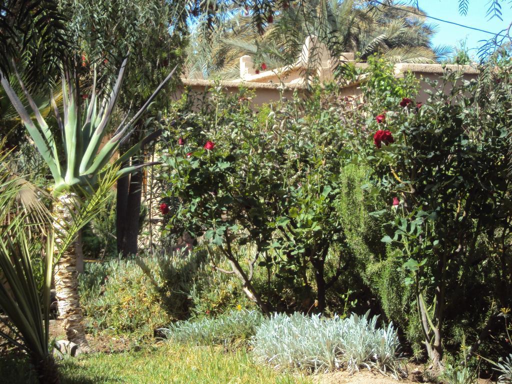 Dar Lorkam Bed & Breakfast Skoura Dış mekan fotoğraf