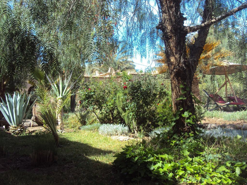 Dar Lorkam Bed & Breakfast Skoura Dış mekan fotoğraf
