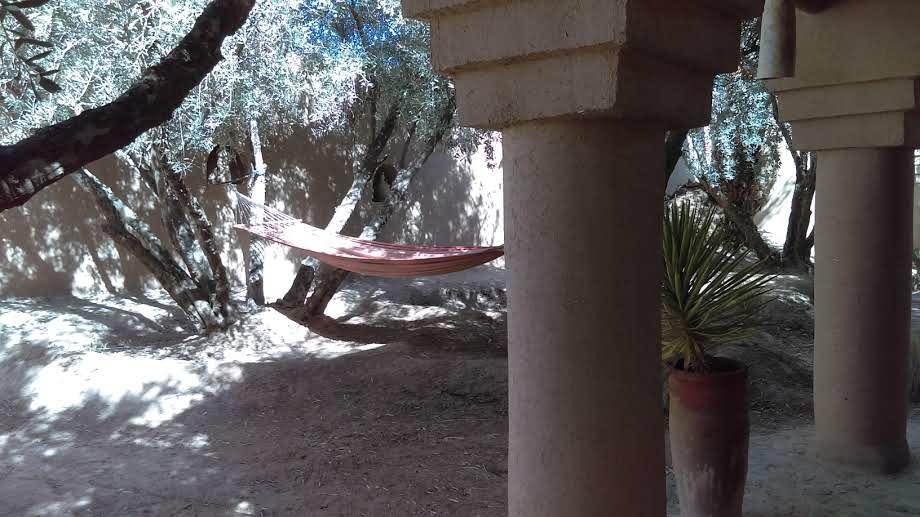 Dar Lorkam Bed & Breakfast Skoura Dış mekan fotoğraf