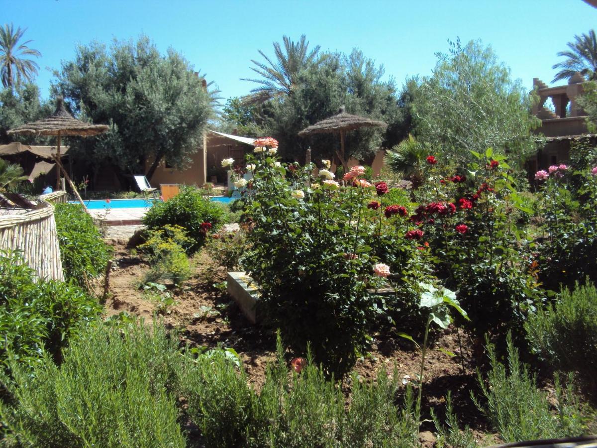 Dar Lorkam Bed & Breakfast Skoura Dış mekan fotoğraf